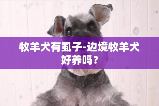 牧羊犬有虱子-邊境牧羊犬好養嗎？