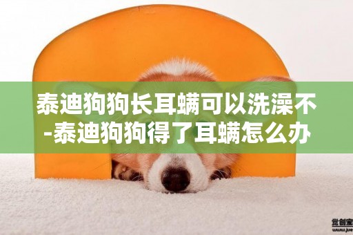 泰迪狗狗長耳螨可以洗澡不-泰迪狗狗得了耳螨怎么辦