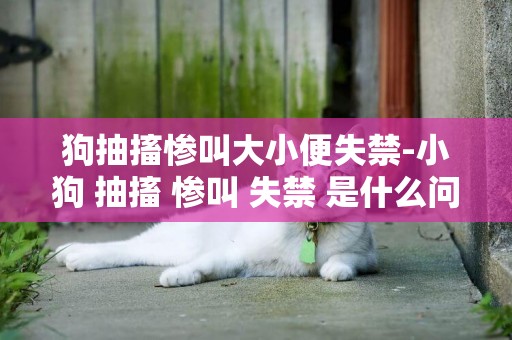 狗抽搐慘叫大小便失禁-小狗 抽搐 慘叫 失禁 是什么問題啊