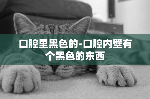 口腔里黑色的-口腔內壁有個黑色的東西