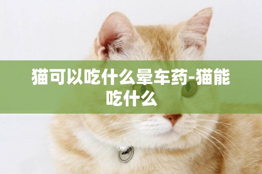 貓可以吃什么暈車藥-貓能吃什么