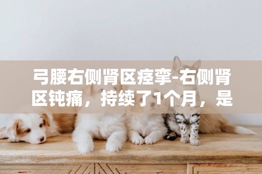 弓腰右側腎區痙攣-右側腎區鈍痛，持續了1個月，是什么原因