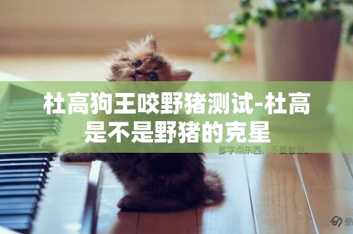 杜高狗王咬野豬測試-杜高是不是野豬的克星