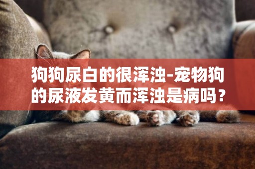 狗狗尿白的很渾濁-寵物狗的尿液發黃而渾濁是病嗎？