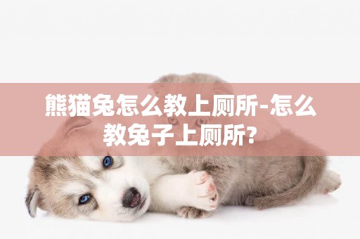 熊貓兔怎么教上廁所-怎么教兔子上廁所?