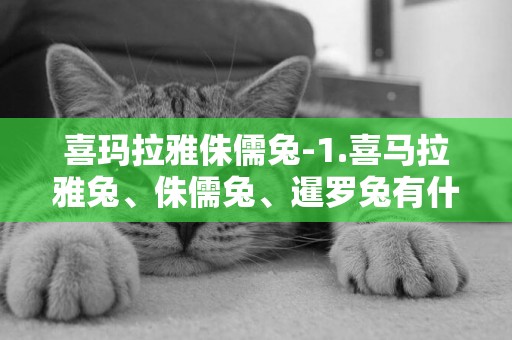 喜瑪拉雅侏儒兔-1.喜馬拉雅兔、侏儒兔、暹羅兔有什么區別嗎？ 2.哪個成年之后體長體型是最小的？ 3
