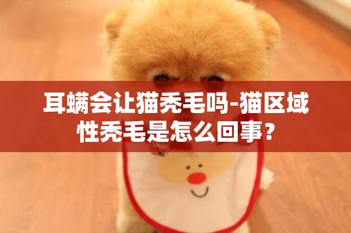 耳螨會讓貓禿毛嗎-貓區域性禿毛是怎么回事？