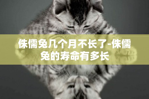 侏儒兔幾個月不長了-侏儒兔的壽命有多長