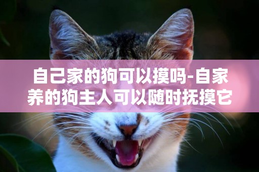 自己家的狗可以摸嗎-自家養的狗主人可以隨時撫摸它。養的雞主人靠近它，確跑。為什么？
