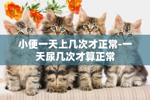 小便一天上幾次才正常-一天尿幾次才算正常