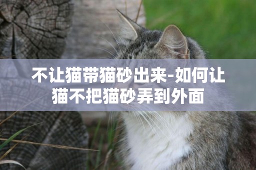 不讓貓帶貓砂出來-如何讓貓不把貓砂弄到外面