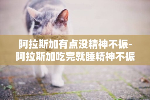 阿拉斯加有點沒精神不振-阿拉斯加吃完就睡精神不振 無其他癥狀
