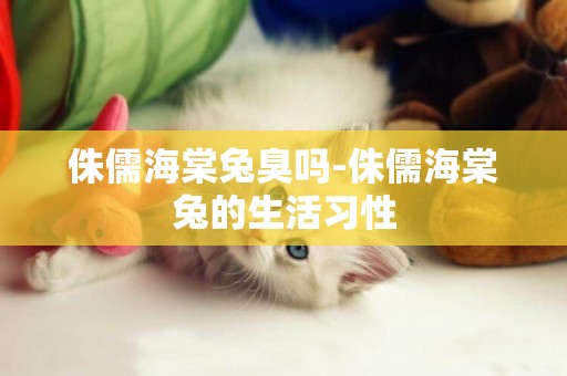 侏儒海棠兔臭嗎-侏儒海棠兔的生活習性