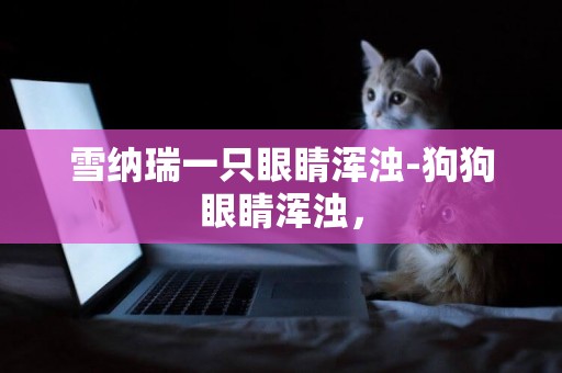 雪納瑞一只眼睛渾濁-狗狗眼睛渾濁，