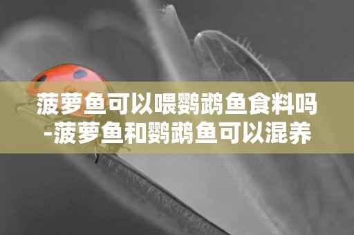 菠蘿魚可以喂鸚鵡魚食料嗎-菠蘿魚和鸚鵡魚可以混養嗎