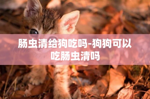 腸蟲清給狗吃嗎-狗狗可以吃腸蟲清嗎