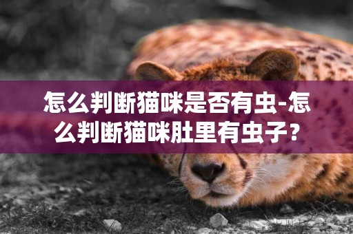 怎么判斷貓咪是否有蟲-怎么判斷貓咪肚里有蟲子？