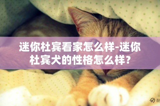 迷你杜賓看家怎么樣-迷你杜賓犬的性格怎么樣？