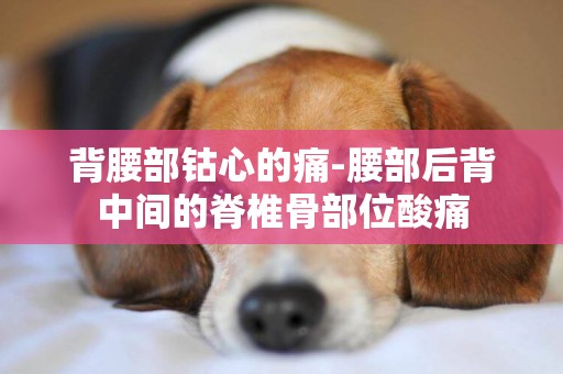 背腰部鈷心的痛-腰部后背中間的脊椎骨部位酸痛