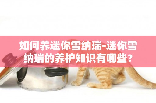 如何養迷你雪納瑞-迷你雪納瑞的養護知識有哪些？