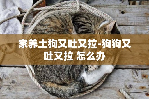 家養土狗又吐又拉-狗狗又吐又拉 怎么辦