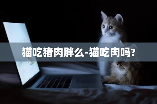 貓吃豬肉胖么-貓吃肉嗎?