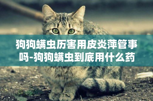 狗狗螨蟲歷害用皮炎萍管事嗎-狗狗螨蟲到底用什么藥有效