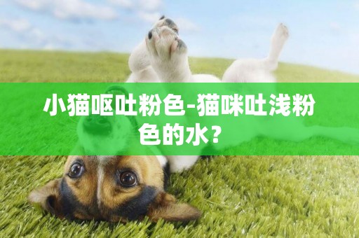小貓嘔吐粉色-貓咪吐淺粉色的水？