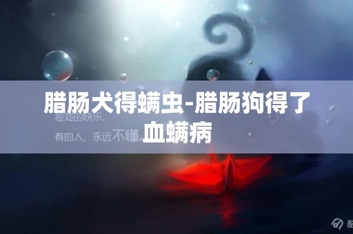 臘腸犬得螨蟲-臘腸狗得了血螨病