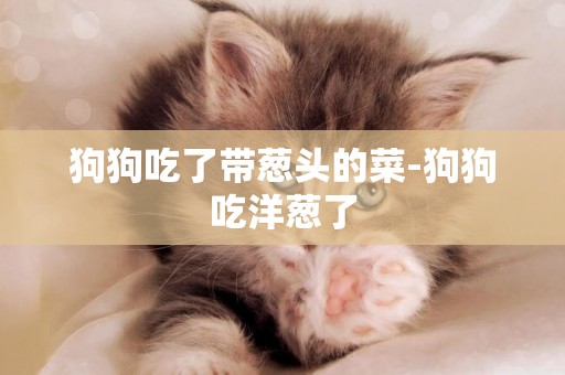 狗狗吃了帶蔥頭的菜-狗狗吃洋蔥了