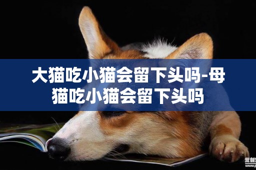大貓吃小貓會留下頭嗎-母貓吃小貓會留下頭嗎