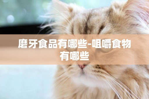 磨牙食品有哪些-咀嚼食物有哪些