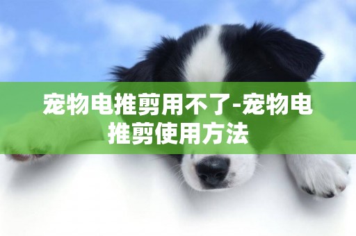 寵物電推剪用不了-寵物電推剪使用方法