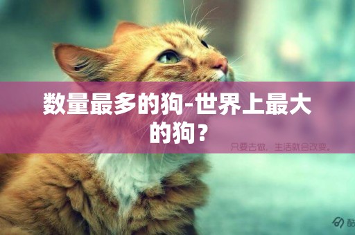 數量最多的狗-世界上最大的狗？