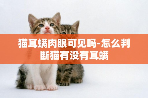 貓耳螨肉眼可見嗎-怎么判斷貓有沒有耳螨