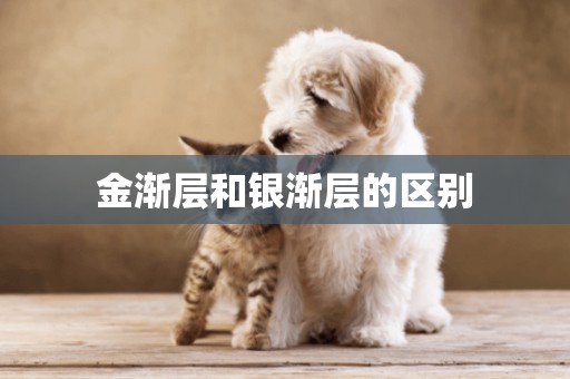 金漸層和銀漸層的區別