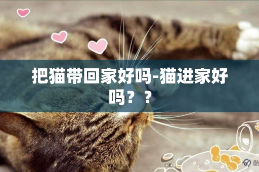 把貓帶回家好嗎-貓進家好嗎？？