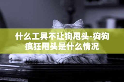 什么工具不讓狗甩頭-狗狗瘋狂甩頭是什么情況
