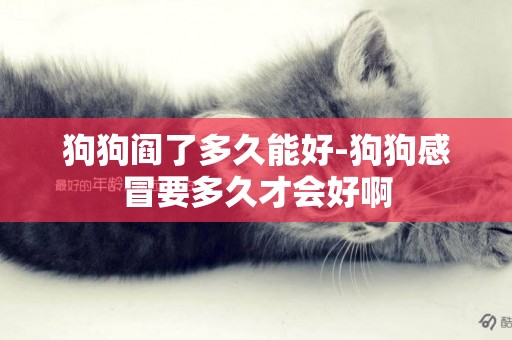 狗狗閻了多久能好-狗狗感冒要多久才會好啊