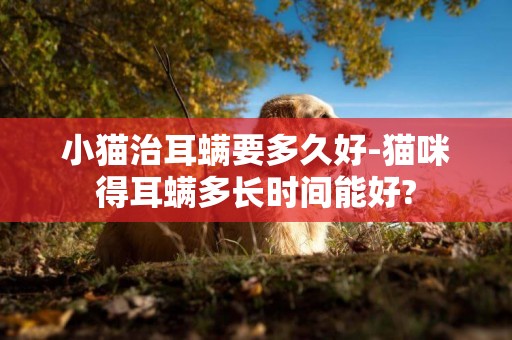 小貓治耳螨要多久好-貓咪得耳螨多長時間能好?