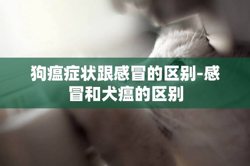 狗瘟癥狀跟感冒的區別-感冒和犬瘟的區別