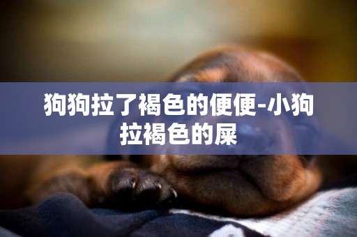 狗狗拉了褐色的便便-小狗拉褐色的屎