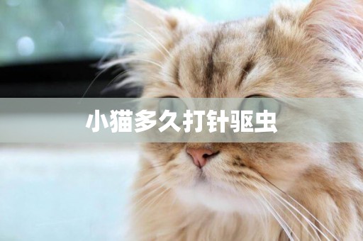 小貓多久打針驅蟲