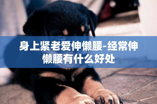 身上緊老愛伸懶腰-經常伸懶腰有什么好處