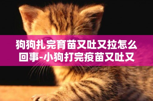 狗狗扎完育苗又吐又拉怎么回事-小狗打完疫苗又吐又拉怎么辦