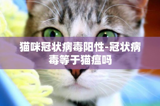 貓咪冠狀病毒陽性-冠狀病毒等于貓瘟嗎