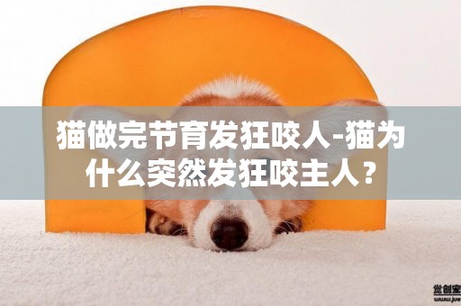 貓做完節育發狂咬人-貓為什么突然發狂咬主人？