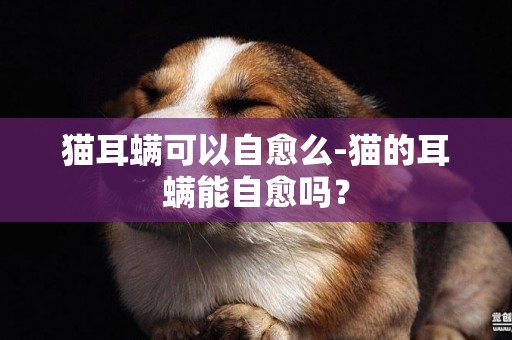 貓耳螨可以自愈么-貓的耳螨能自愈嗎？