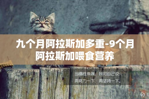 九個月阿拉斯加多重-9個月阿拉斯加喂食營養
