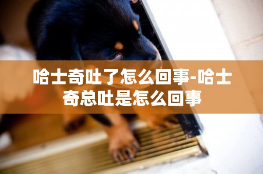 哈士奇吐了怎么回事-哈士奇總吐是怎么回事